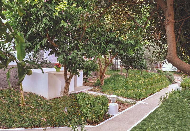 Ο κήπος του Patmos Villas, με τα δέντρα και τα χτιστά παγκάκια