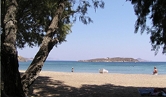 Agrio Livadi-Wild Lea Beach,Patmos