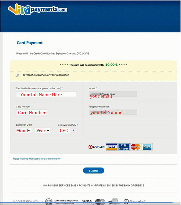 Viva Payment Graphical User Interface